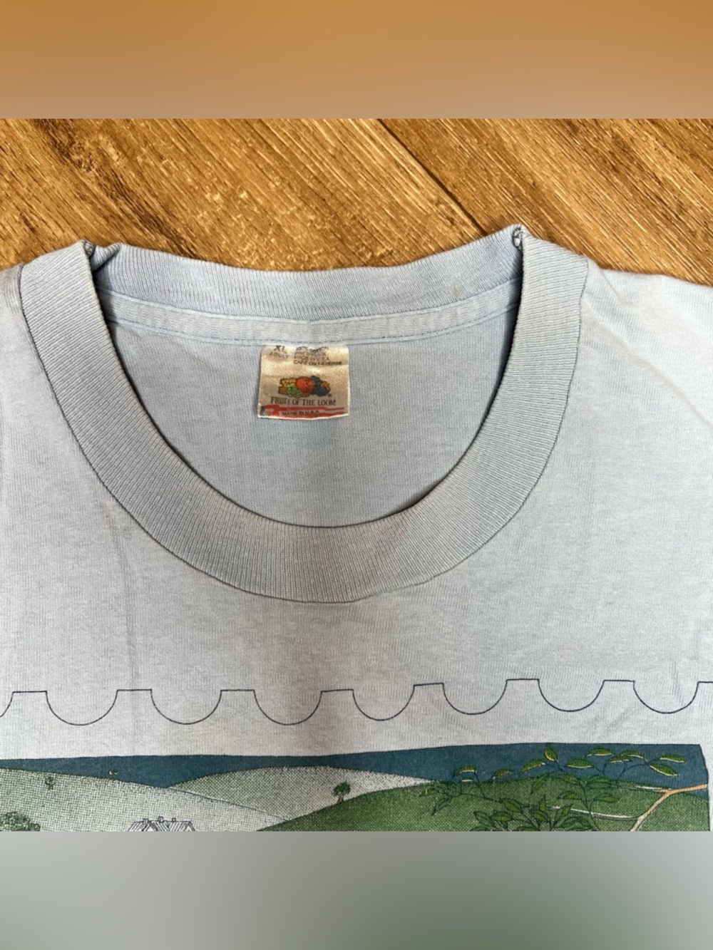 Men’s Vintage Fruit of The Loom T Shirt Single Stitch Blue Graphic T Shirt - Picture 8 of 9